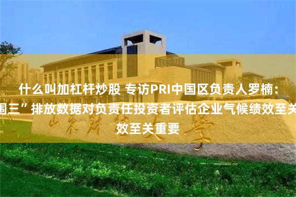 什么叫加杠杆炒股 专访PRI中国区负责人罗楠：“范围三”排放数据对负责任投资者评估企业气候绩效至关重要