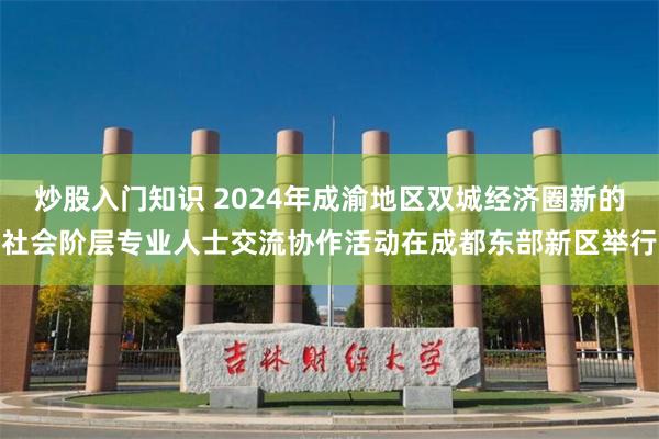 炒股入门知识 2024年成渝地区双城经济圈新的社会阶层专业人士交流协作活动在成都东部新区举行