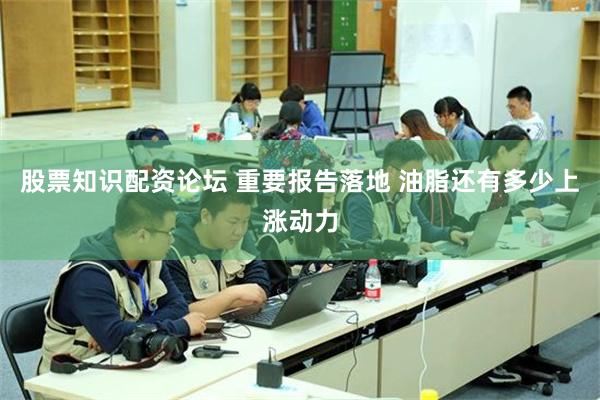 股票知识配资论坛 重要报告落地 油脂还有多少上涨动力