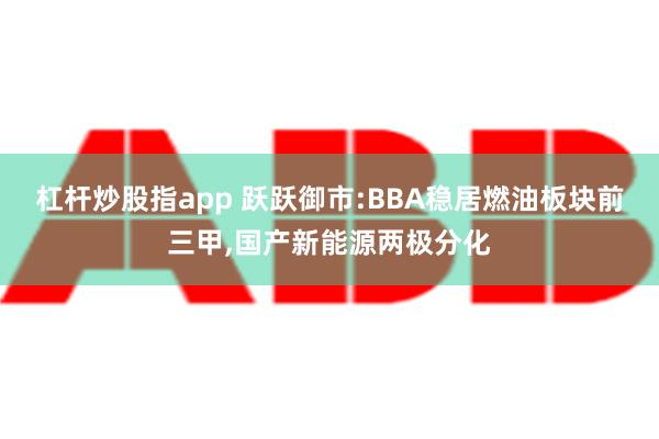 杠杆炒股指app 跃跃御市:BBA稳居燃油板块前三甲,国产新能源两极分化