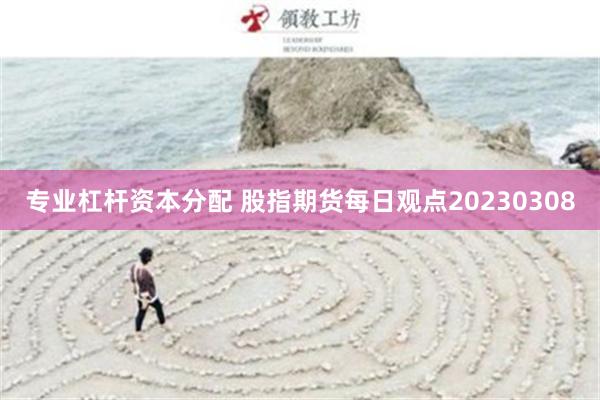 专业杠杆资本分配 股指期货每日观点20230308