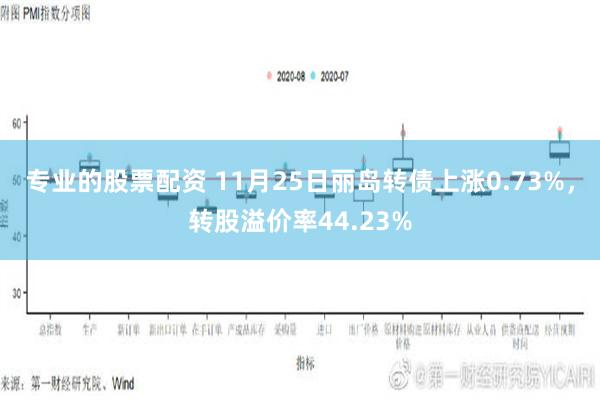 专业的股票配资 11月25日丽岛转债上涨0.73%，转股溢价率44.23%