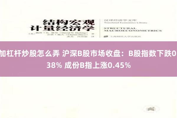 加杠杆炒股怎么弄 沪深B股市场收盘：B股指数下跌0.38% 成份B指上涨0.45%